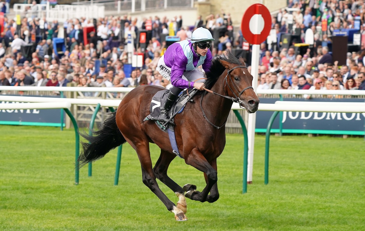 Ghostwriter: holds Royal Ascot entry. Photo: Tony Knapton / focusonracing.com