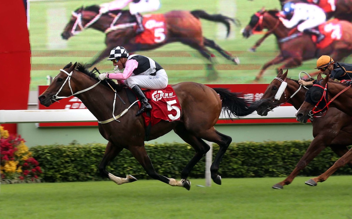 From Royal to Hong Kong: the former Roca Tumu scores at Sha Tin as Beauty Flame. Photo: HKJC