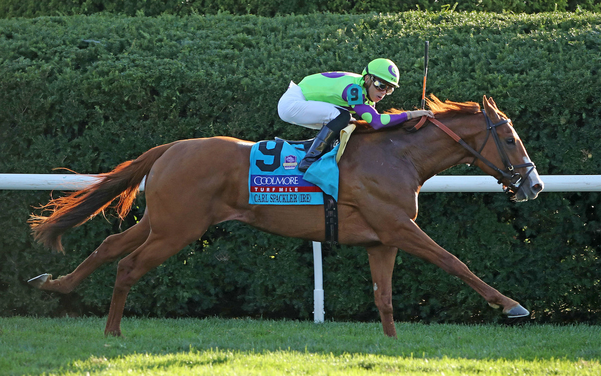 Carl Spackler: will race for new Australian connections at Royal Ascot. Photo: Keeneland