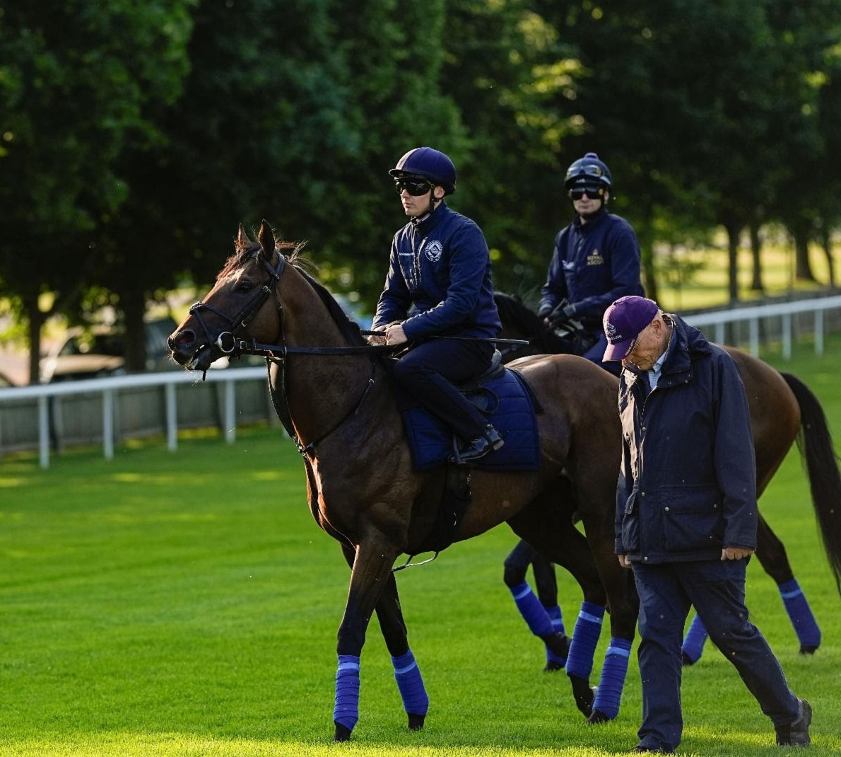 Royal Ascot bound: Lead Artist with John Gosden. Photo: John Hoy
