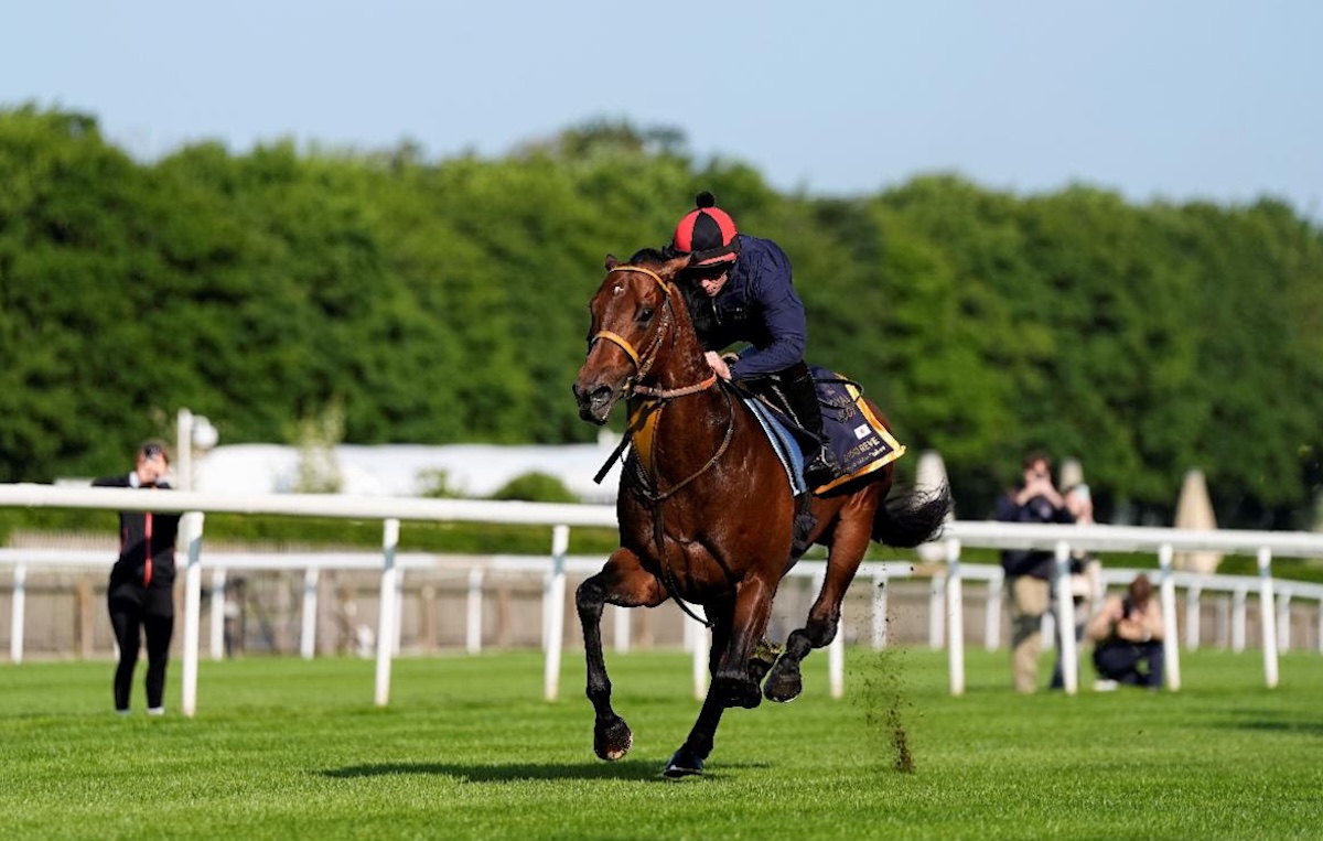 Japanese sprint star Satono Reve works under Ryan Moore. Photo: John Hoy