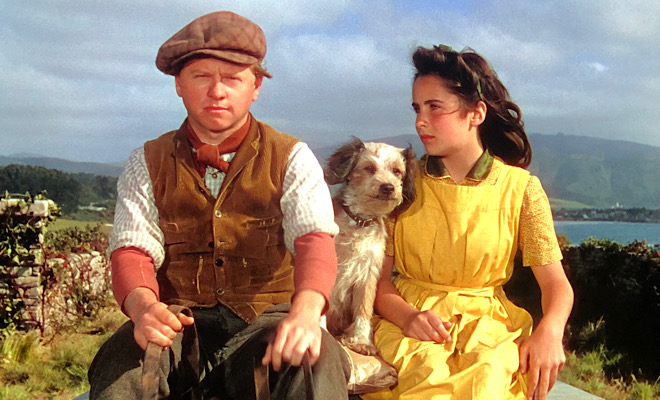 Teenage Elizabeth Taylor was more than a match for Rooney in National Velvet. (MGM photo)