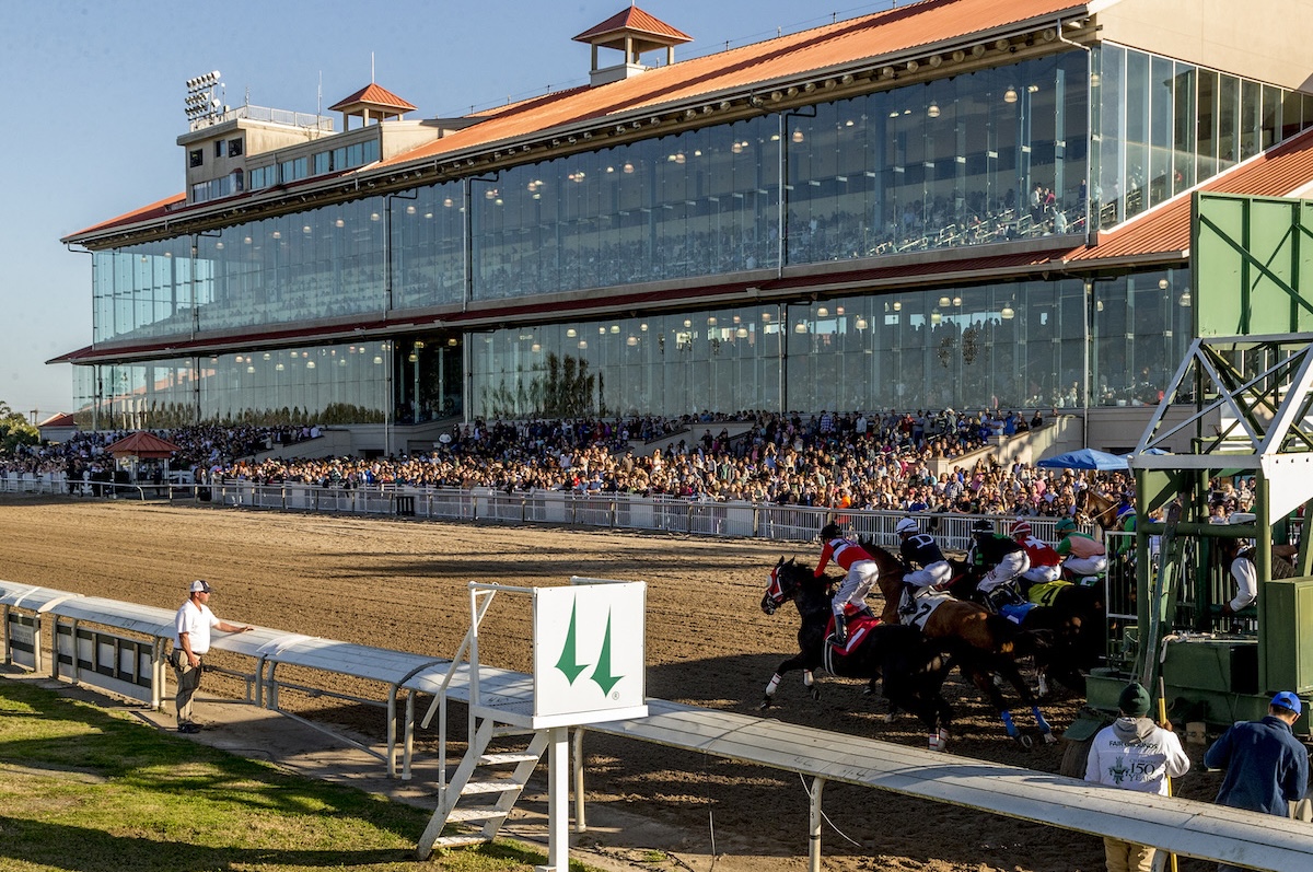 Fair Grounds: peace breaks out. Photo: Fair Grounds Race Course