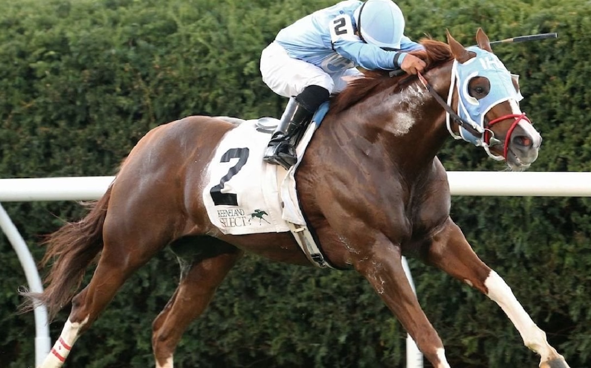 Bucchero: won back-to-back runnings of the G2 Woodford. Photo: Keeneland