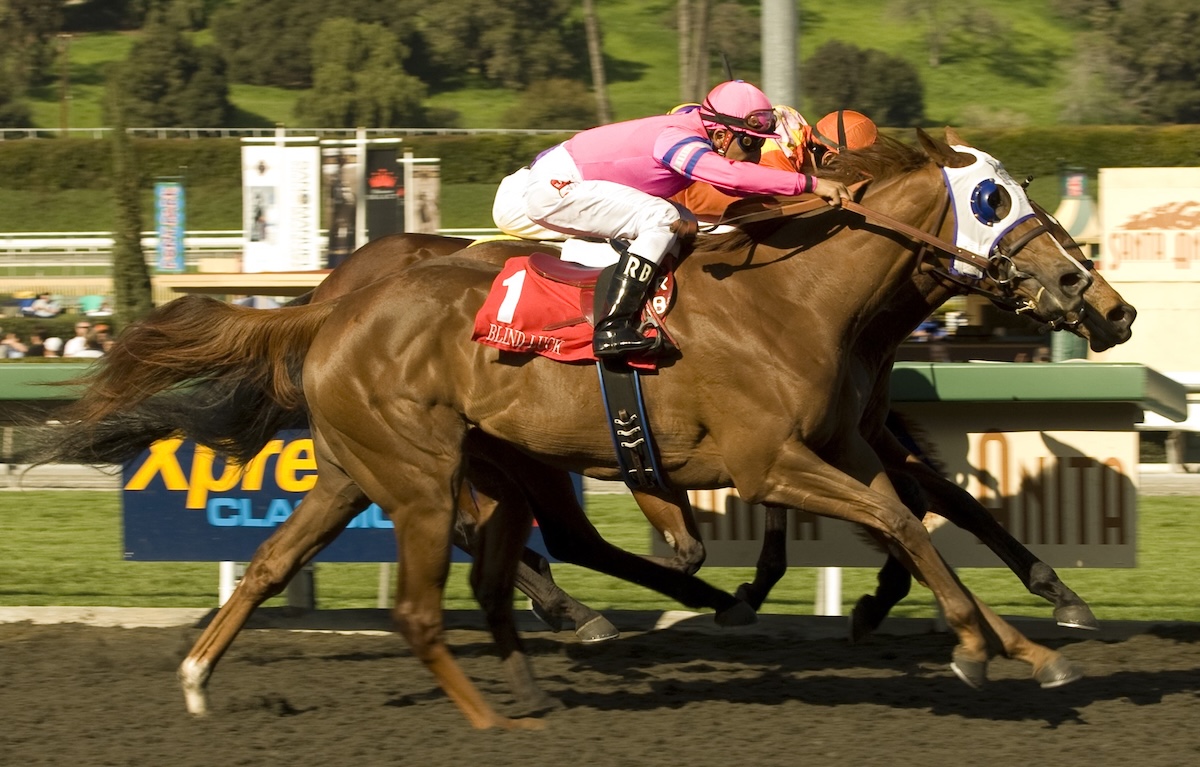 Tough as nails, Blind Luck finishes fast to win a thriller in the 2010 Las Virgenes Stakes (Benoit photo)