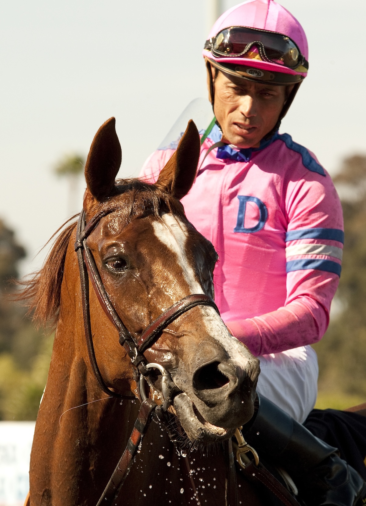 Garrett Gomez and Blind Luck made a tough team (Benoit photo)