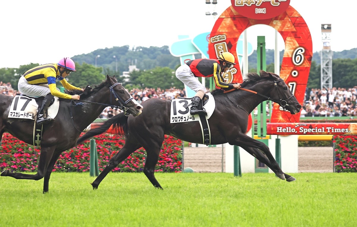 Arc adventure: Croix Du Nord will be ridden by Yuichi Kitamura in France. Photo: JRA