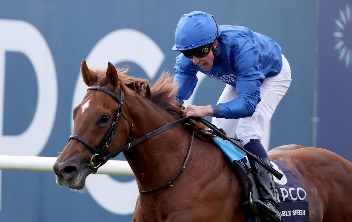 Notable Speech: added to July Cup field. Photo: Dan Abraham / focusonracing.com