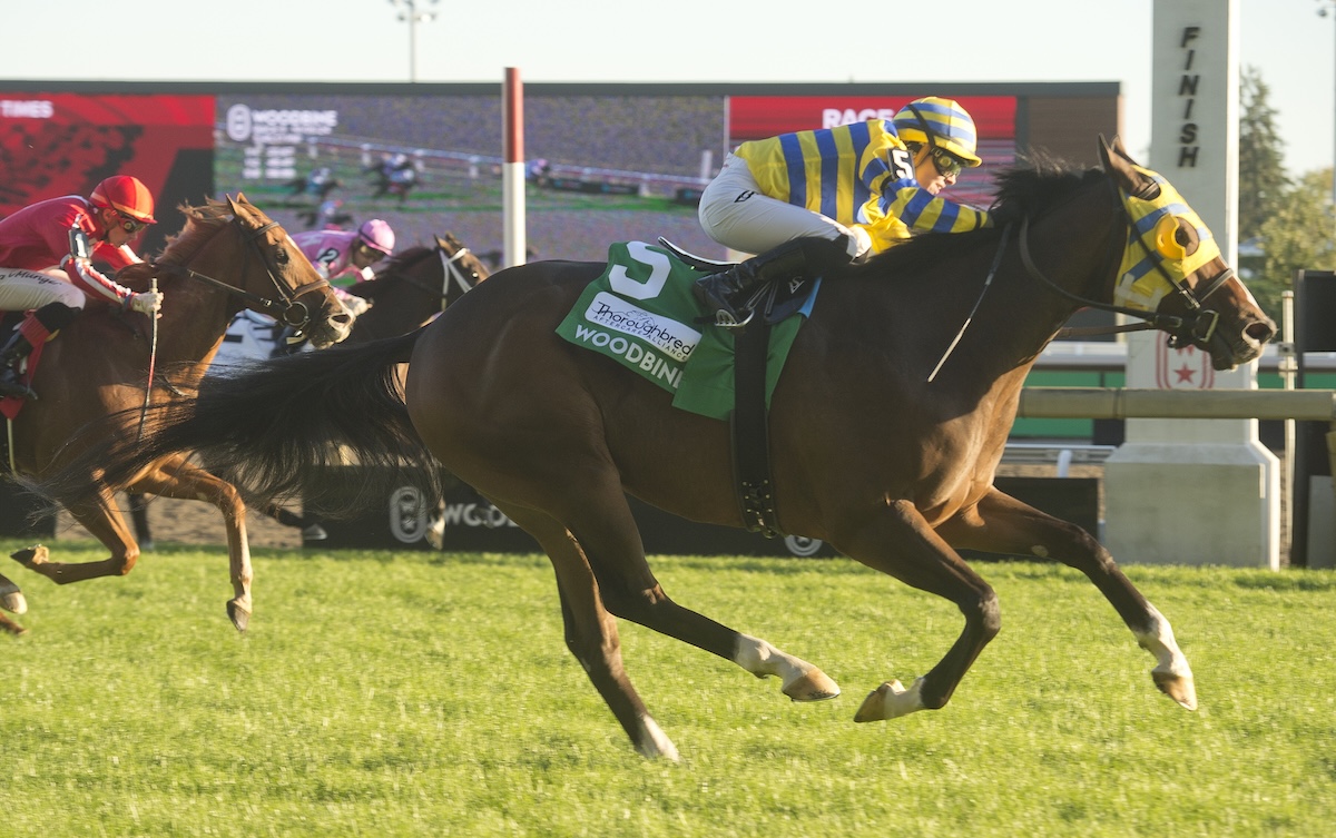 Patches O’Houlihan (Sofia Vives) wins the G2 Nearctic Stakes at Woodbine in October. Photo: Michael Burns