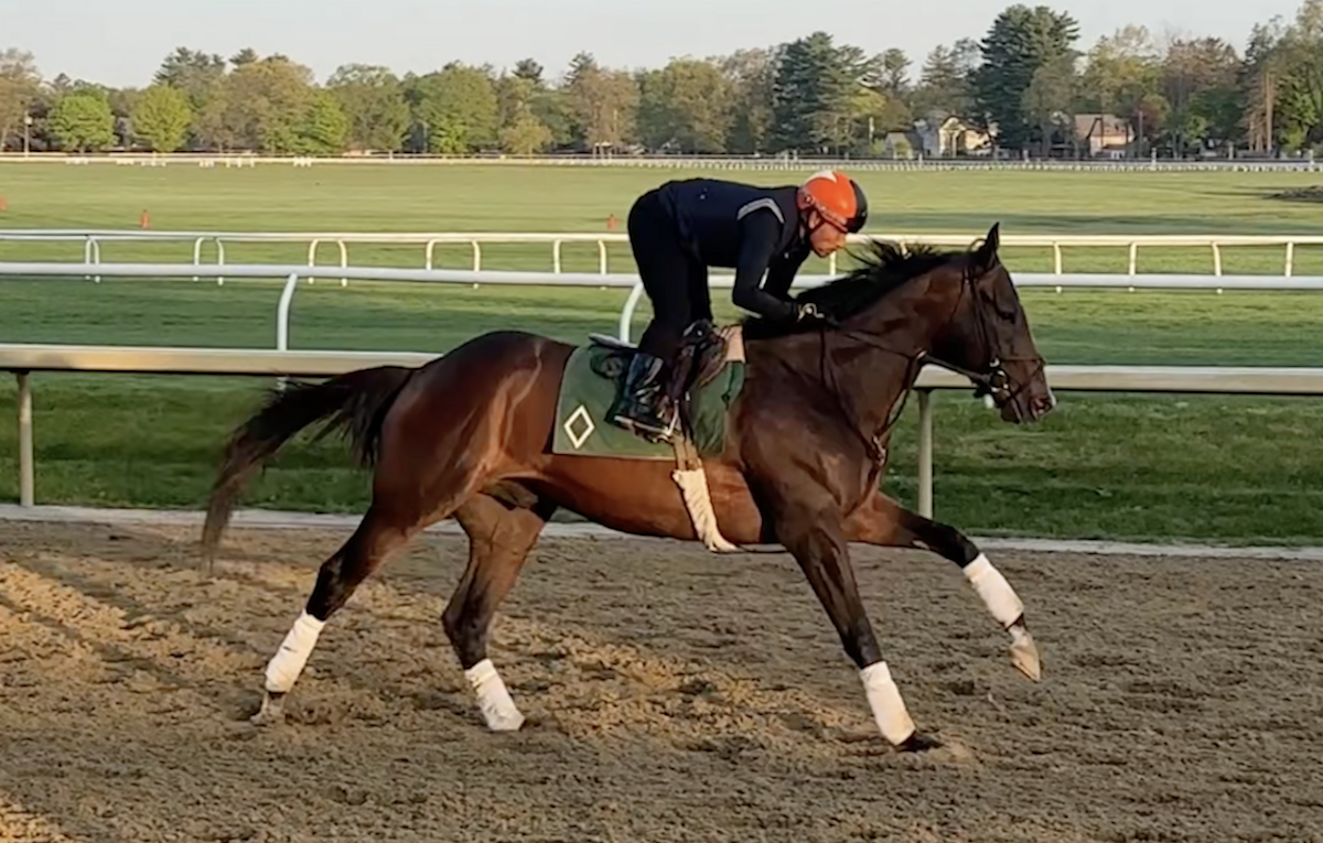 Sovereignty works at Saratoga under exercise rider Neil Poznansky. Photo: NYRA / Coglianese