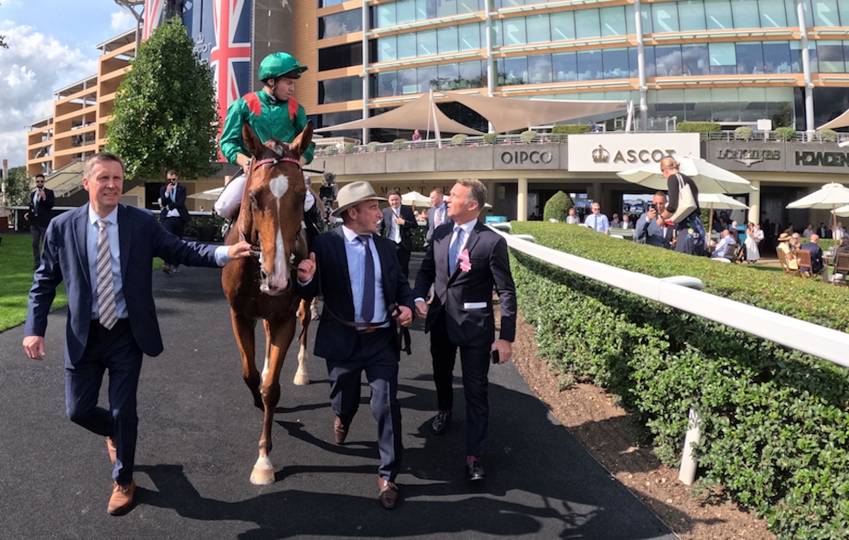 Ascot hero: Calandagan (Mickael Barzalona) returns after the KIng George VI and Queen Elizabeth Stakes. Photo: Dan Abraham / focusonracing.com