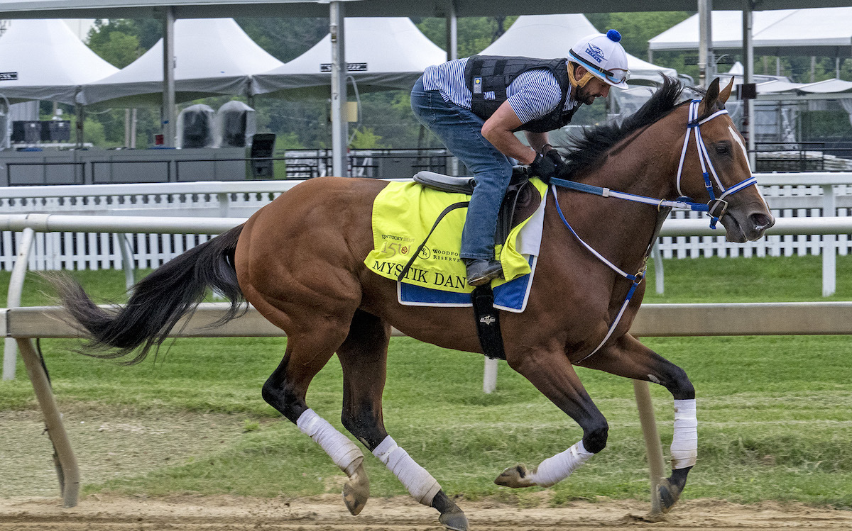 Mystik Dan: set for turf in Arlington Million. Photo: Maryland Jockey Club