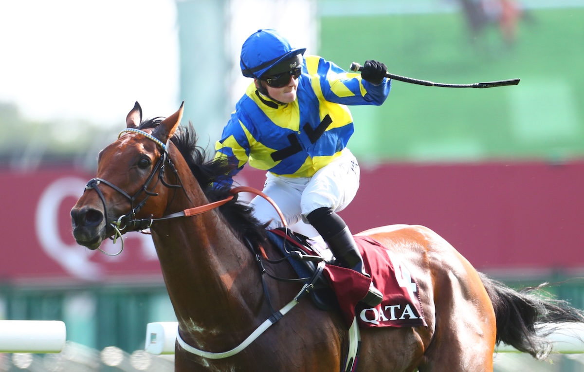 French flourish: Hollie Doyle celebrates as Trueshan wins the Prix du Cadran in 2023. Photo: Scoopdyga / focusonracing.com