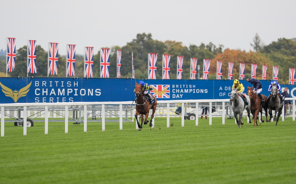 Breakthough success: Trueshan powers clear under Hollie Doyle in the Qipco British Champions Long Distance Cup in 2020. Photo: Mark Cranham / focusonracing.com