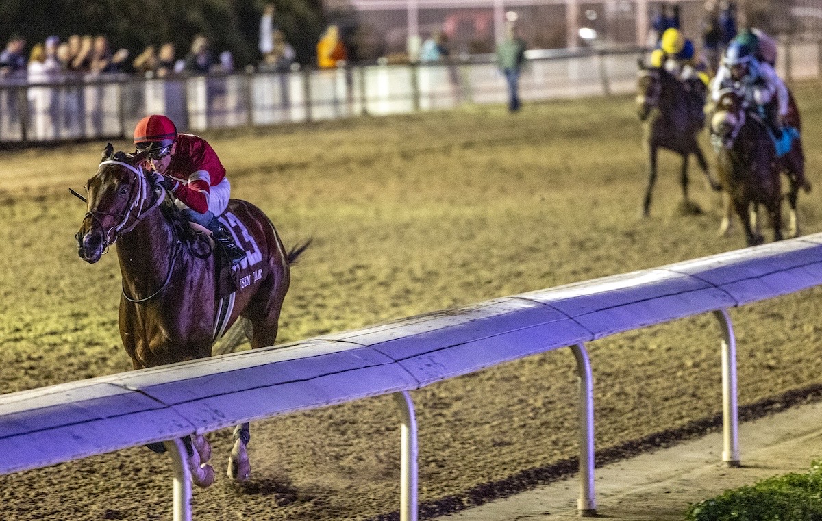 Chief threat: Magnitude (Ben Curtis) storms home in the G2 Risen Star. Photo: Hodges Photography