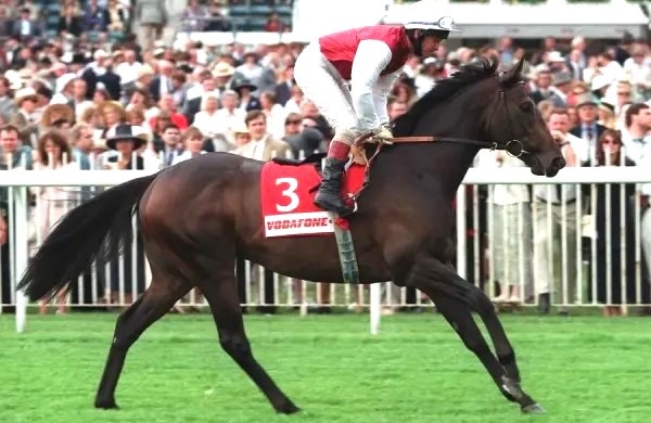Singspiel on the the way to the post for the 1996 Coronation Cup, a race he won the following year