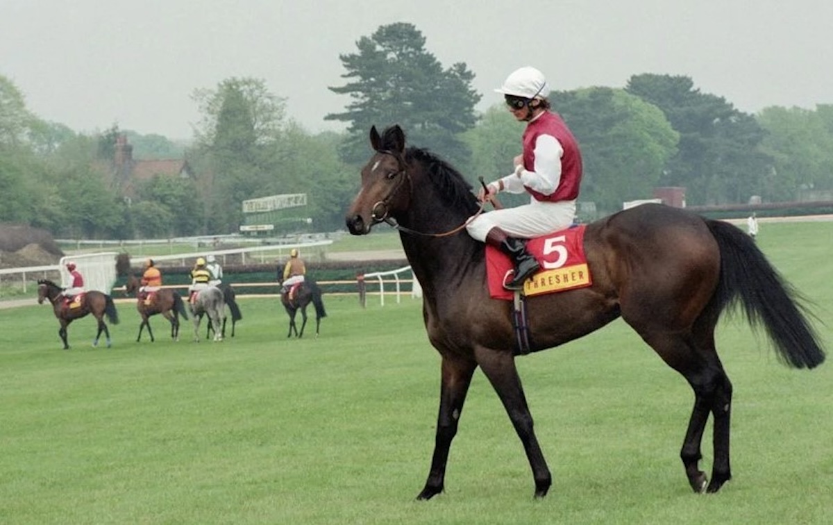 A young Singspiel going down for his Group-race debut in the 1995 Classic Trial at Sandown