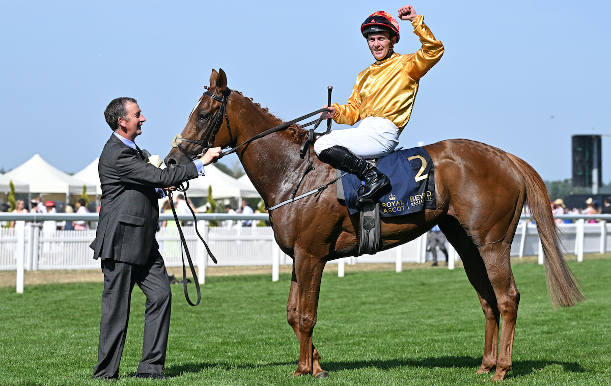 Royal Ascot rampage: Coronation Stakes heroine Cercene (Gary Carroll) was one of three Tatts Ireland graduates to score at G1 level at the summer showpiece in June. Photo: Francesca Altoft / focusonracing.com