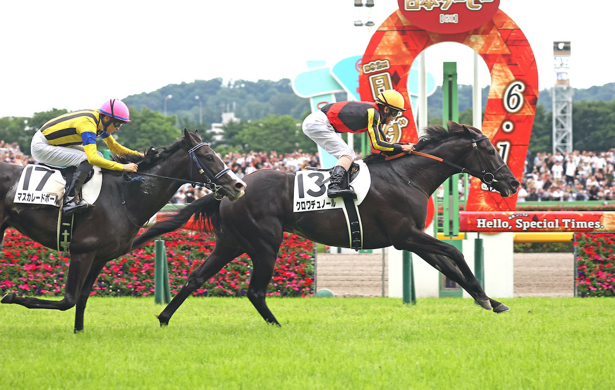 Arc contender: Croix Du Nord wins Tokyo Yushun (Japanese Derby). Photo: Japan Racing Association