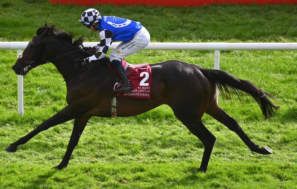 Al Riffa (Dylan Browne McMonagle): Irish St Leger winner is joint top weight for the Melbourne Cup. Photo: Healy Racing / focusonracing.com