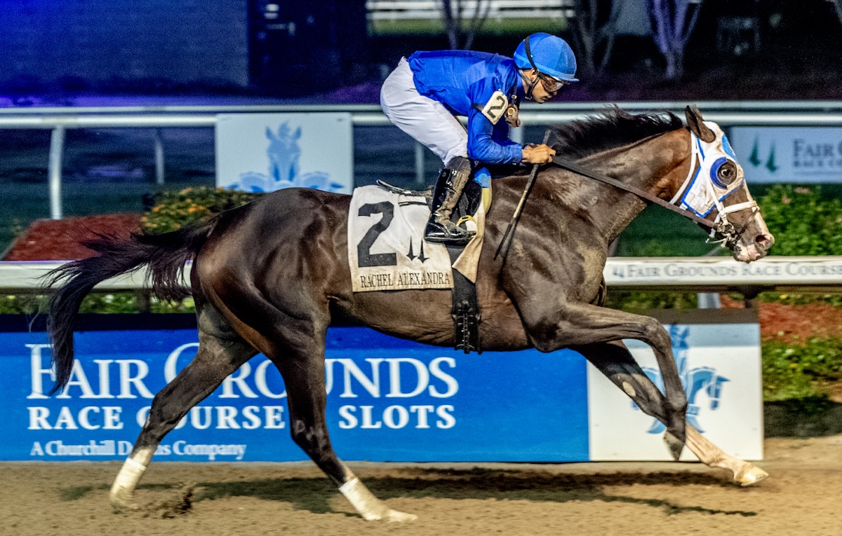 Good Cheer: G1 clash in $1m Cotillion at Parx. Photo: Hodges Photography / Lou Hodges, Jr.