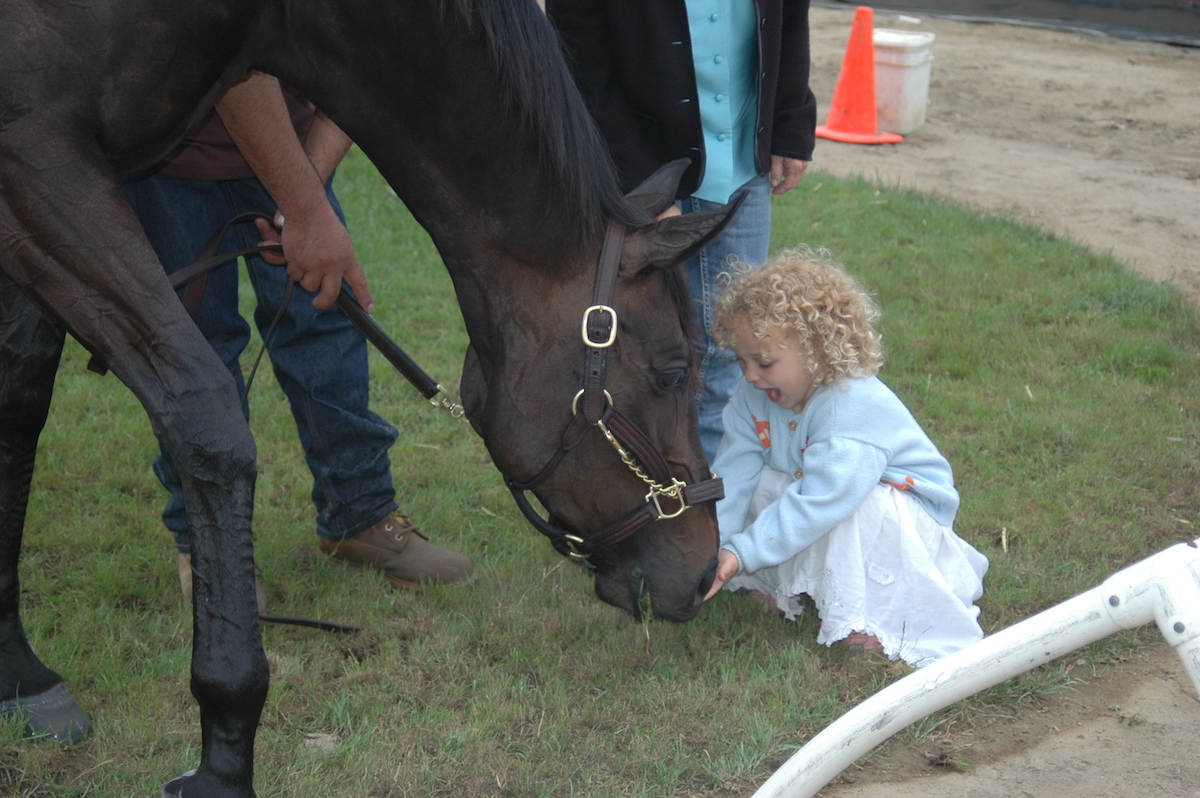 Massive Zenyatta is gentle as a lamb with Lorelei Krone, the writer's daughter, (Hovdey photo)