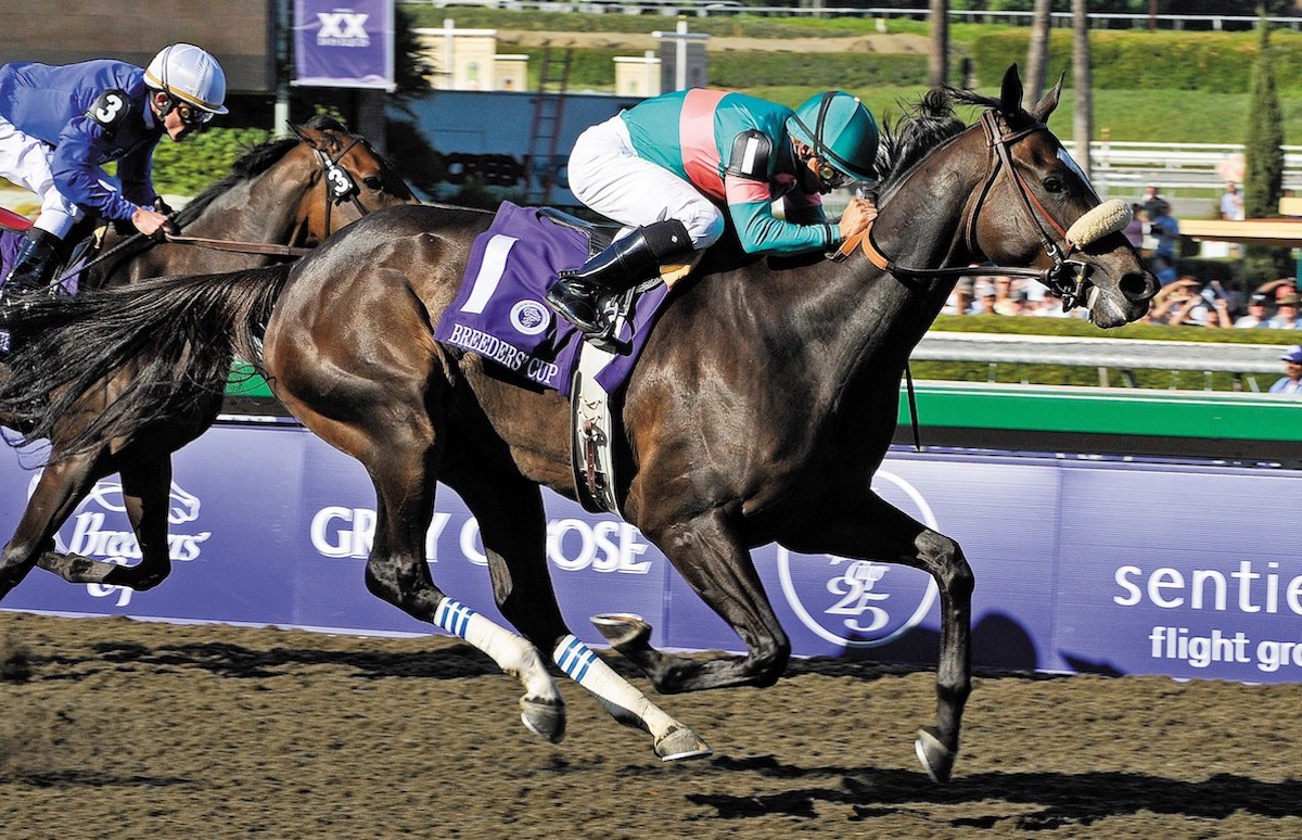 Zenyatta handles the Godolphin challenge in the 2008 Breeders' Cup Ladies Classic. (Benoit photo)