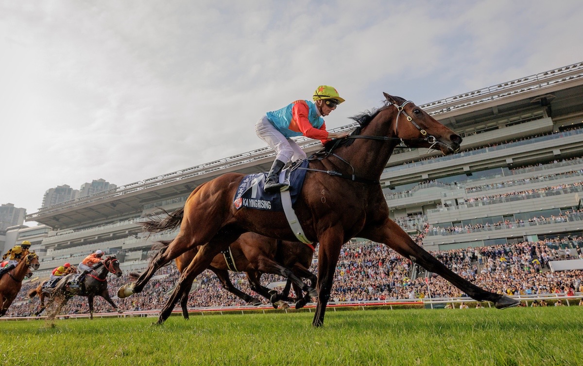 Ka Ying Rising: Hong Kong superstar set for the Everest. Photo: Alex Evers / HKJC