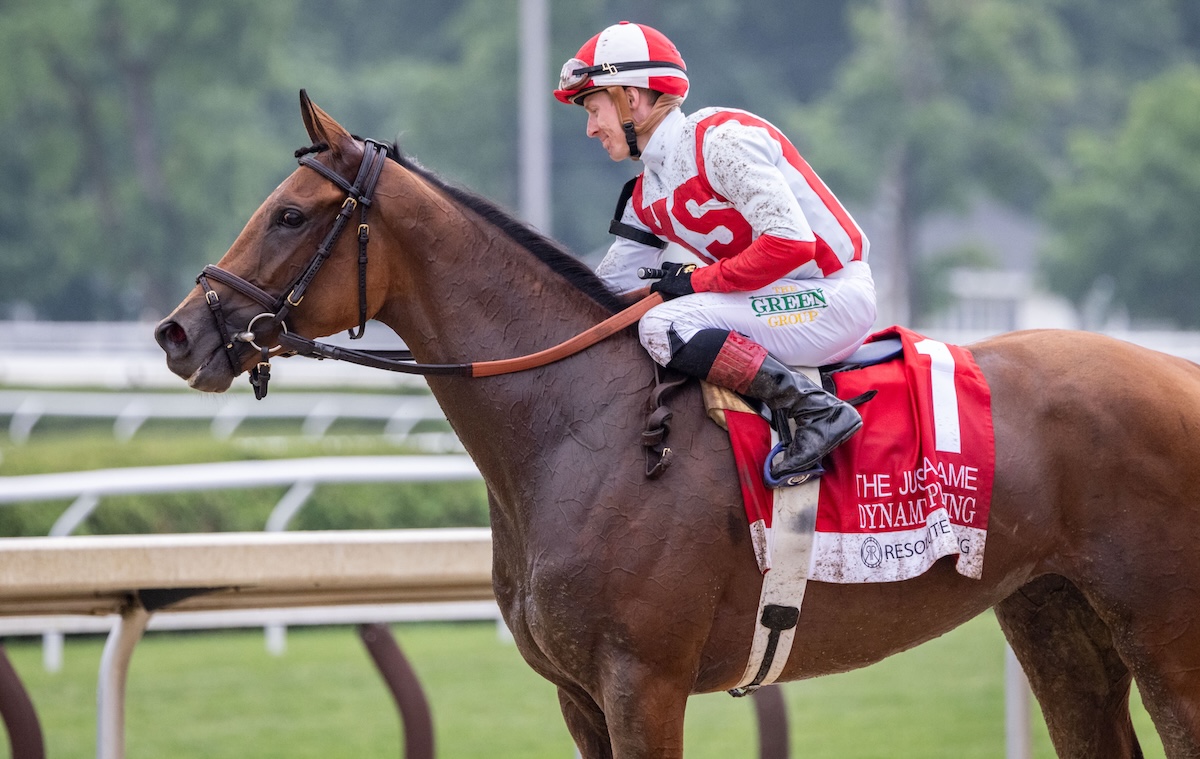 Across the pond: Dynamic Pricing, a G1 winner at the Belmont Stakes Festival, was bought at Tatts Book 1. Photo: NYRA / Walter Wlodarczyk