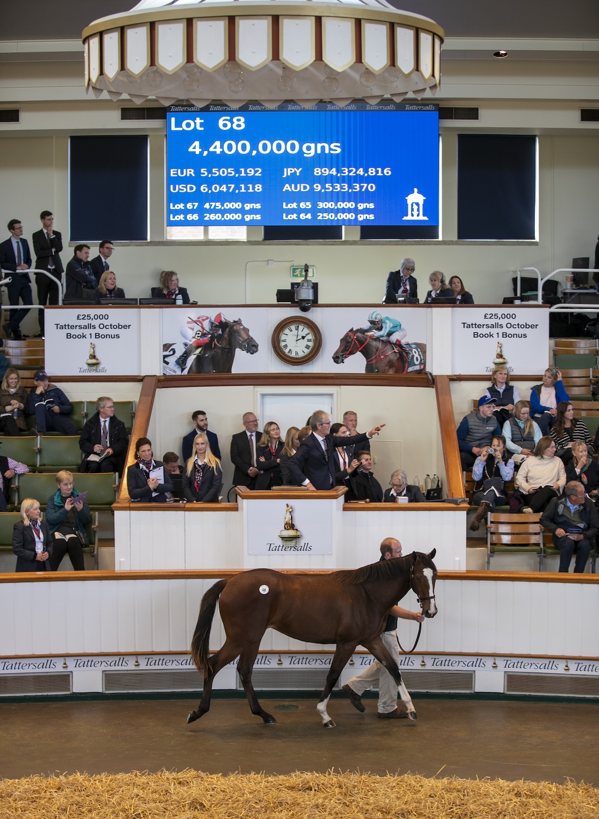 Amo Racing went to 4.4 million guineas for this daughter of Frankel at last year’s sale; she was later named Partying. Photo: Tattersalls