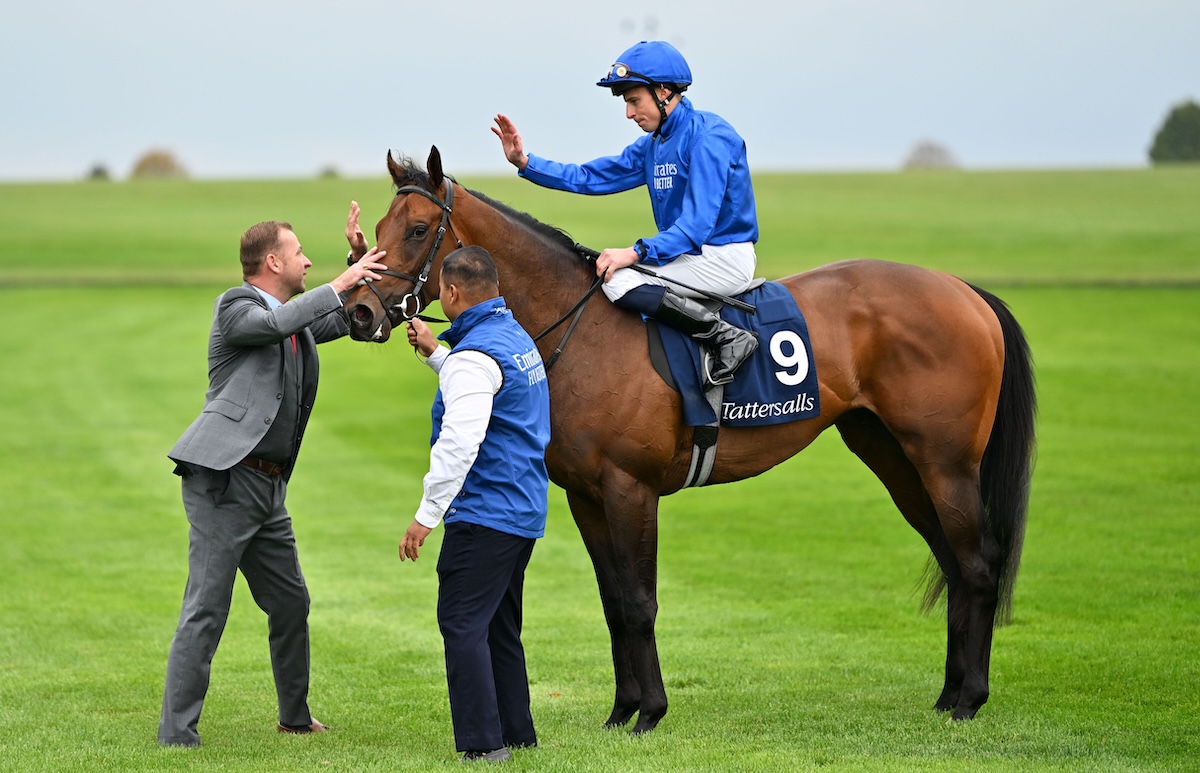 Middle Park Stakes winner Wise Approach was bought by Godolphin for 1,000,000gns from Tally-Ho Stud at Book 1. Photo: Hattie Austin / focusonracing.com