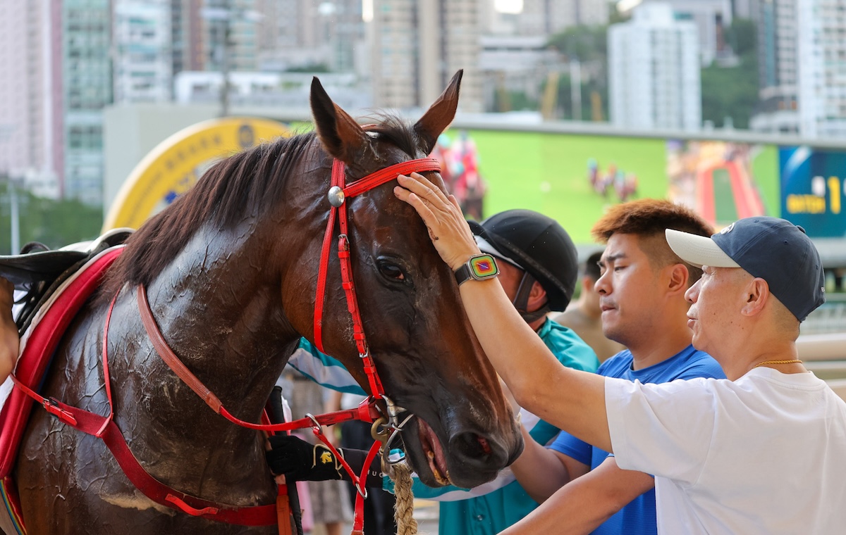 High hopes: Romantic Warrior and Danny Shum. Photo: HKJC