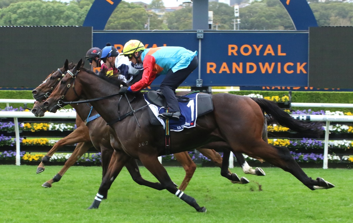 Ka Ying Rising (Zac Purton, near side) comes third in his Randwick barrier trial. Photo: Hong Kong Jockey Club