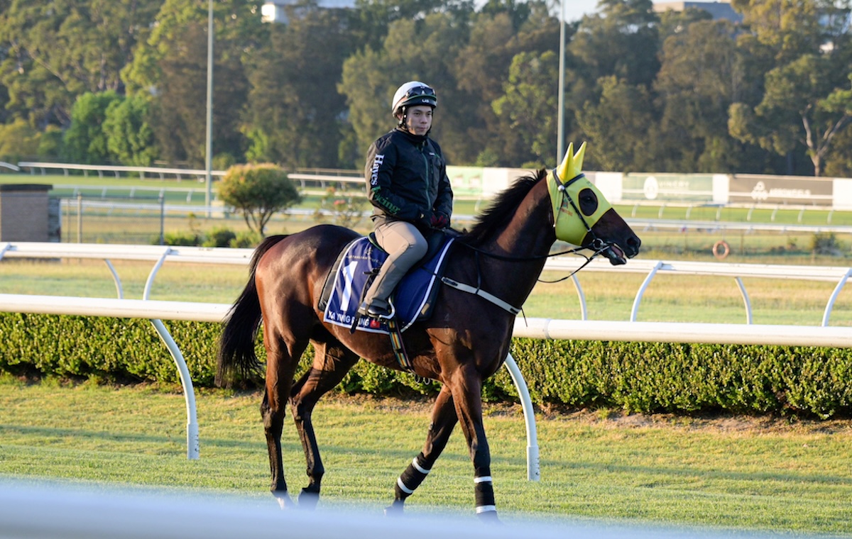Morning action: Ka Ying Rising at Canterbury in Sydney. Photo: Hong Kong Jockey Club