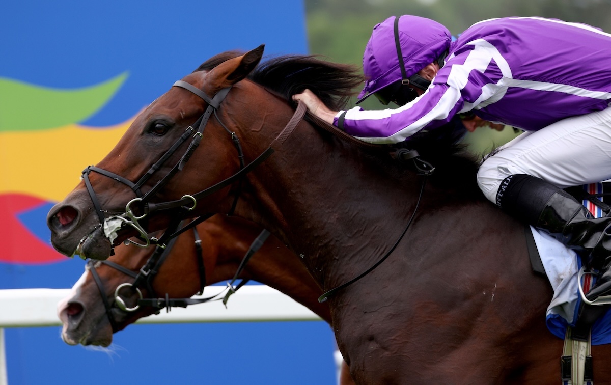 Delacroix (near side) wins the Coral-Eclipse Stakes. Photo: Dan Abraham / focusonracing.com