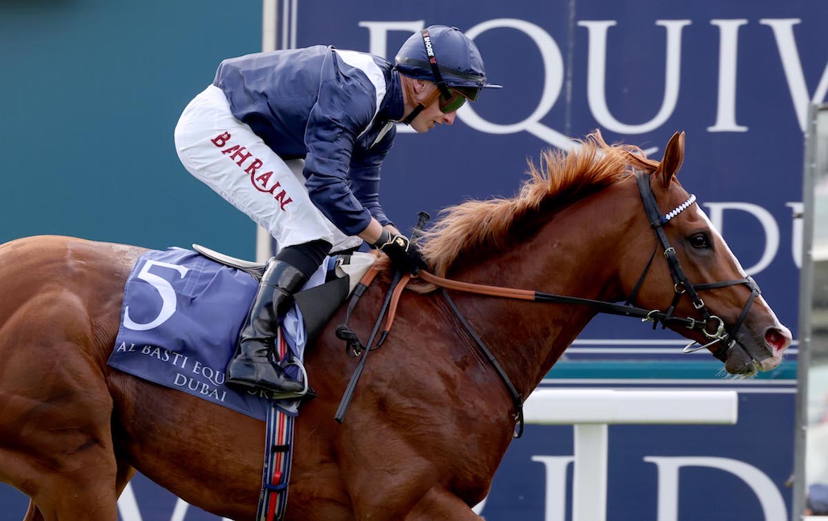 Economics: has been retired after bleeding at Ascot. Photo: Dan Abraham / focusonracing.com