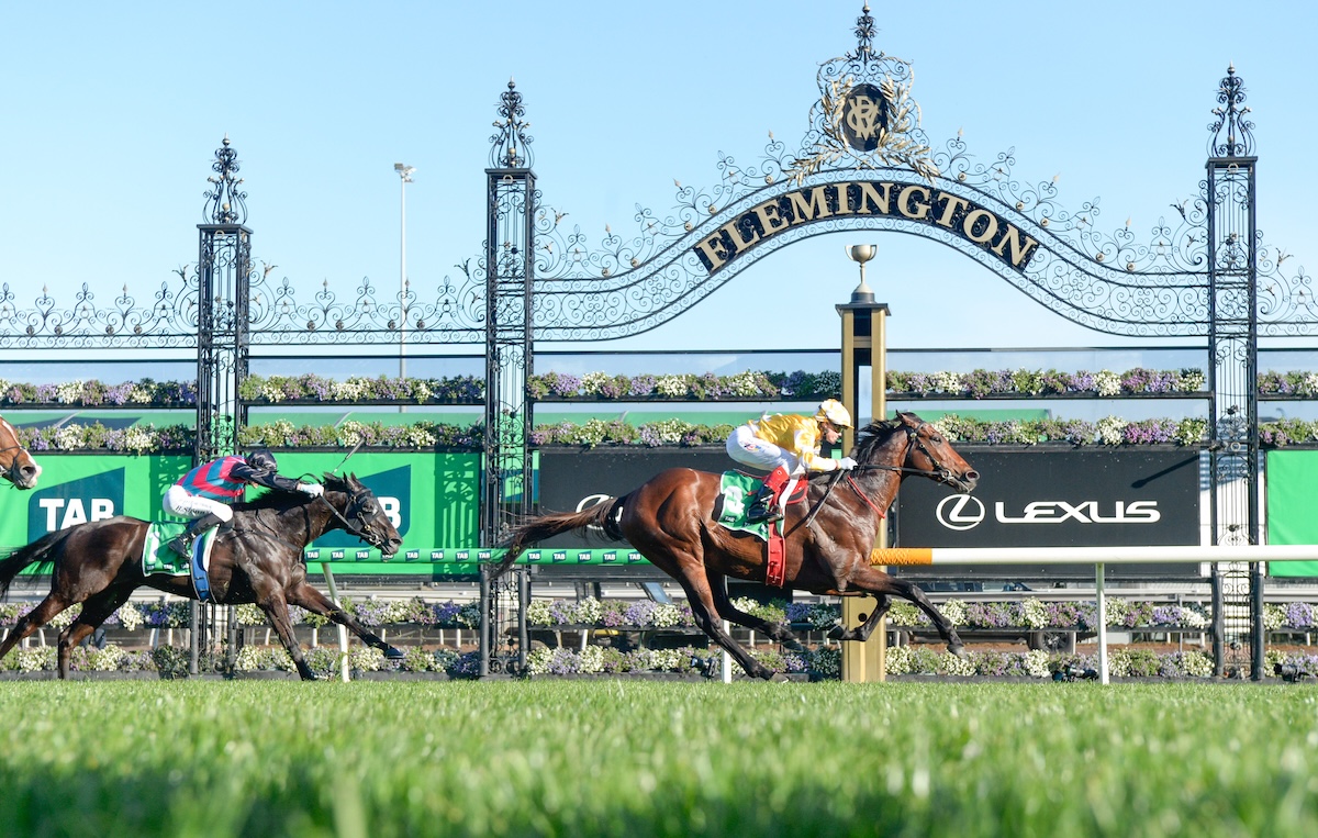 Sir Delius (Craig Williams) wins the G1 Turnbull Stakes at Flemington. Photo: Brett Holburt / Racing Photos