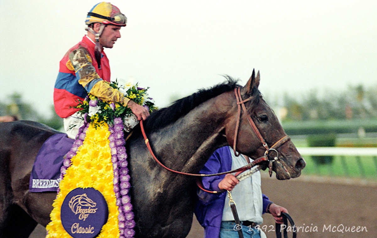A.P. Indy: BC Classic provided the highlight of a Horse of the Year campaign in 1992. Photo: Patricia McQueen