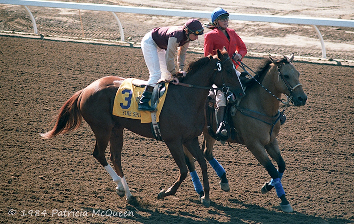 Fine Spirit: elevated to third in the inaugural Breeders’ Cup Juvenile Fillies. Photo: Patricia McQueen