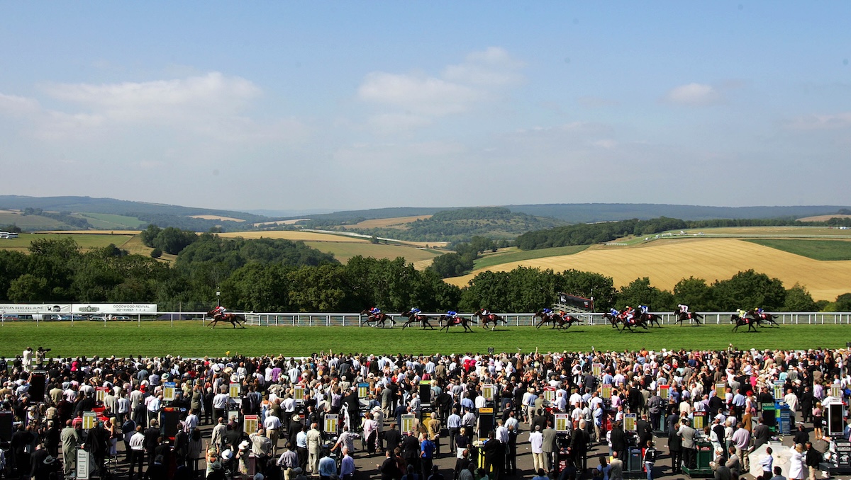 Goodwod glory: Road To Love (Richard Hills) spreadeagles his rivals on the Sussex Downs in 2006. Photo: Dan Abraham / focusonracing.com