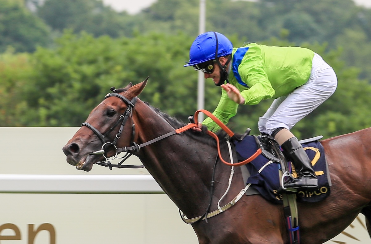 Subjectivist: memorable Gold Cup success under Joe Fanning. Photo: Mark Cranham / focusonracing.com