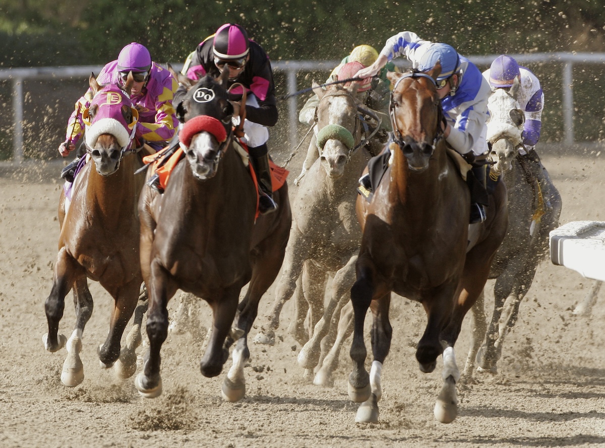 As his red shadow roll strikes the front, Lava Man goes on to his first of three victories in the Hollywood Gold Cup. (Benoit photo)