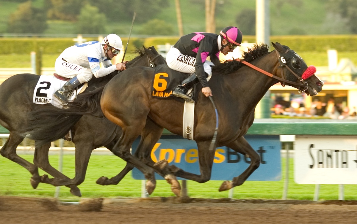 Lava Man adds the 2006 Santa Anita Handicap to his growing list of achievements. (Benoit photo)