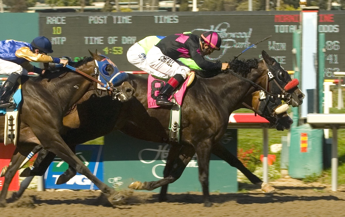 After a desperate finish in the 2007 Hollywood Gold Cup, Lava Man still was on top of the West Coast heap. (Benoit photo)