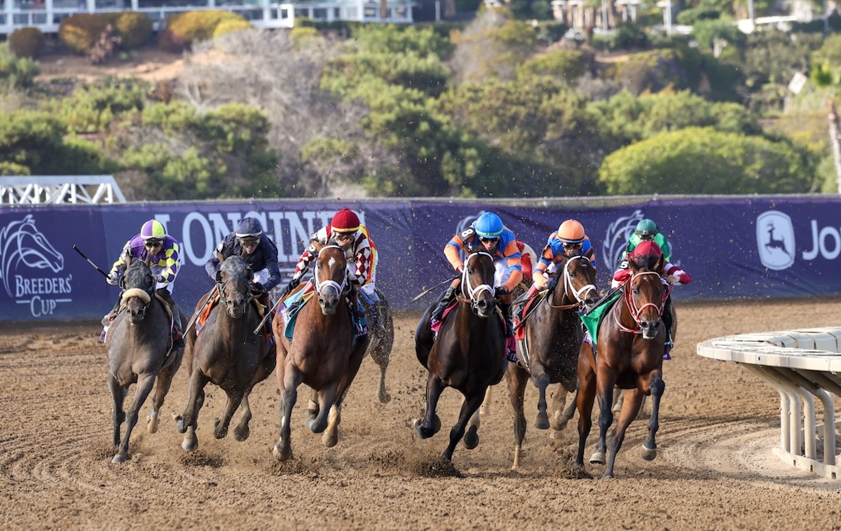Forever Young (Ryusei Sakai, red cap on right) leads the field into the stretch at Del Mar. Photo: Breeders’ Cup / Eclipse Sportswire