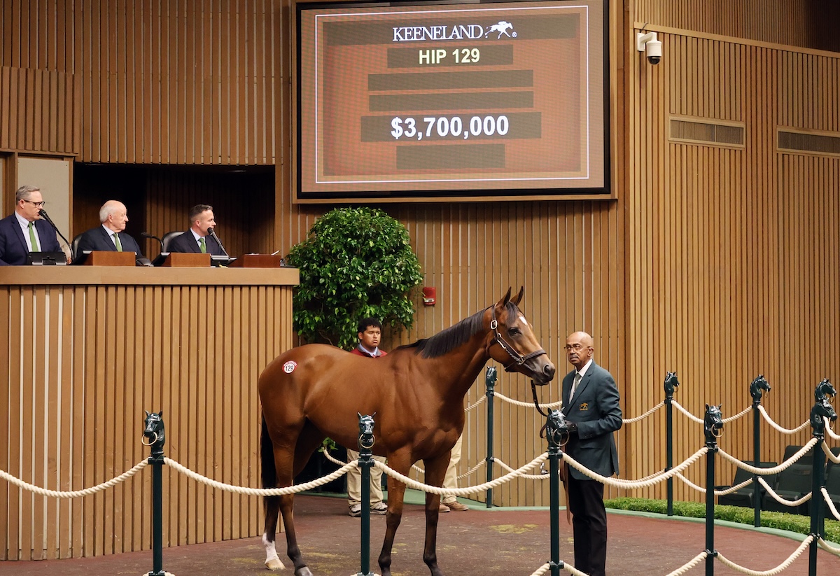 Lush Lips: Keeneland sale topper at $3.7m. Photo: Keeneland