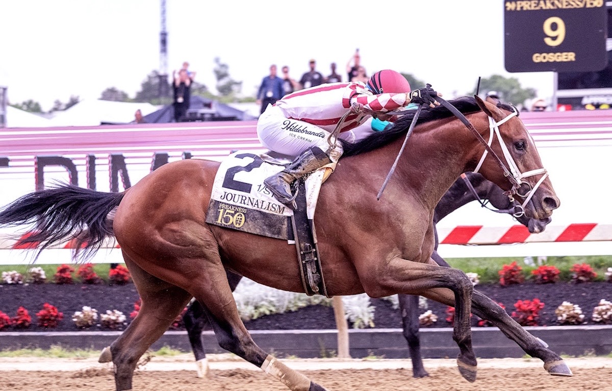 Set for more: Journalism wins the Preakness. Photo: Maryland Jockey Club