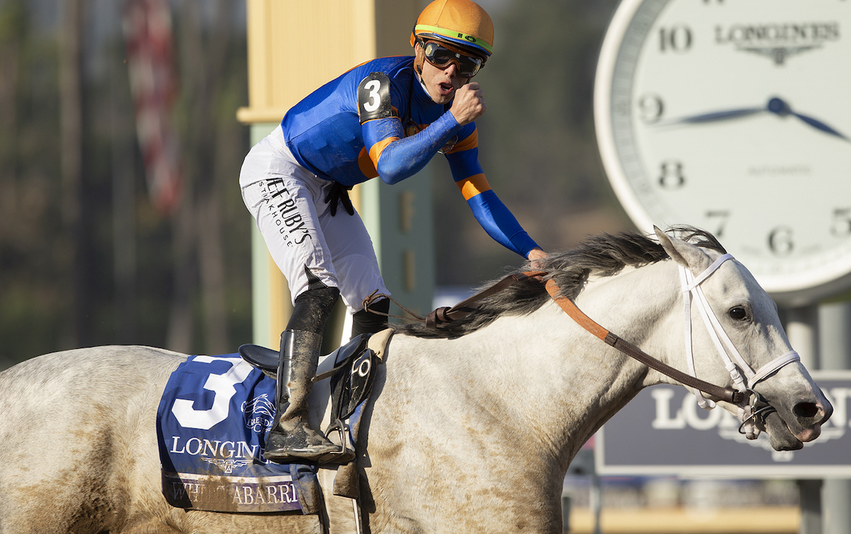 White Abarrio: Breeders’ Cup no-go this time around. Photo: Benoit