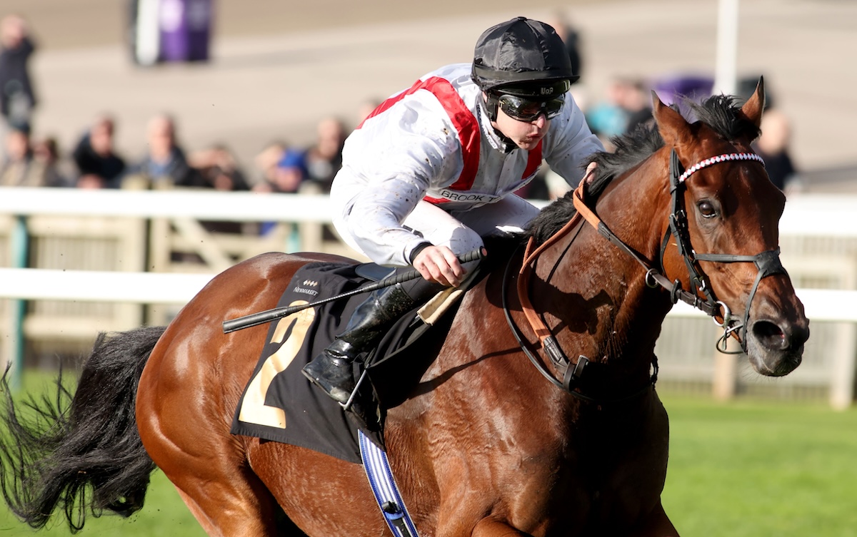 Hamish: ‘I simply adore him,’ says Maureen Haggas. Photo: Dan Abraham / focusonracing.com