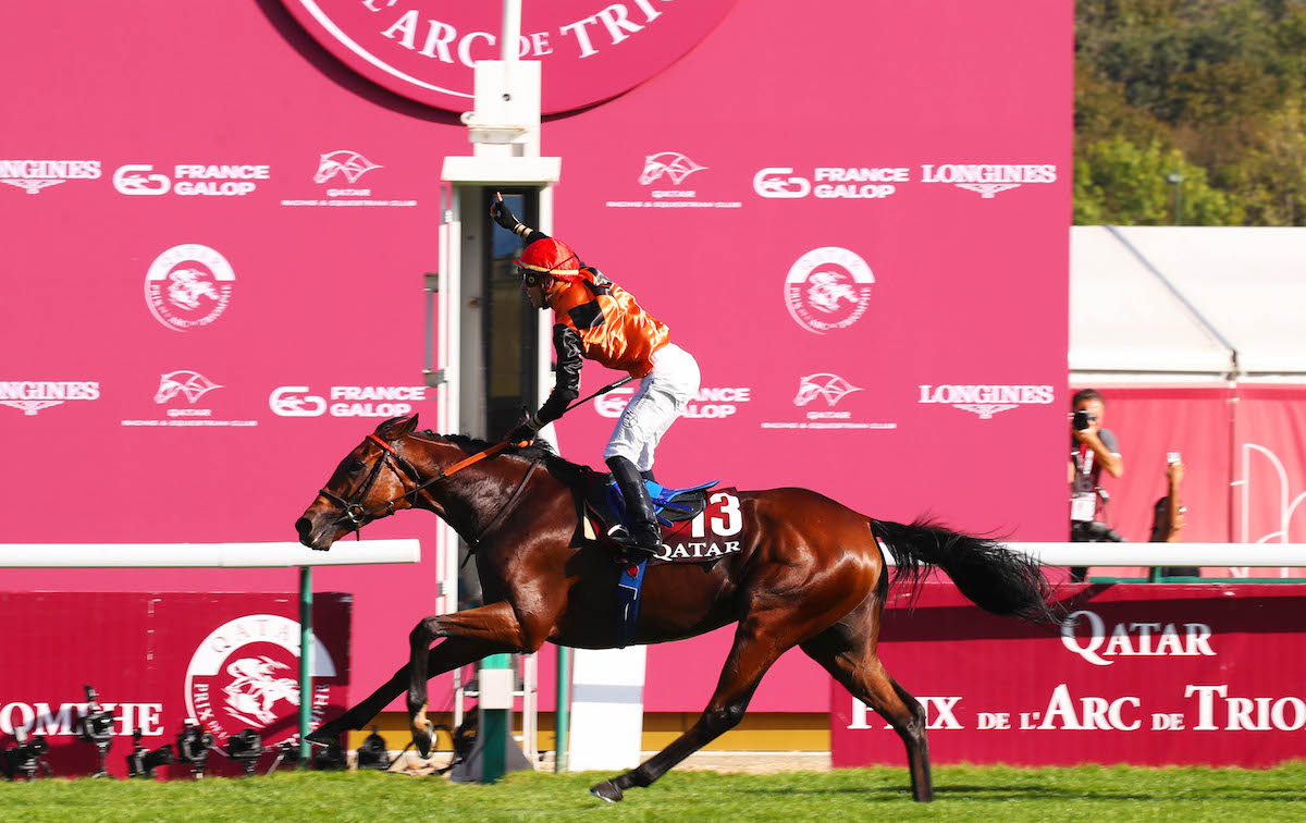 Ace Impact: Arc winner’s first crop has high-profile representative at sale. Photo: dyga / focusonracing.com